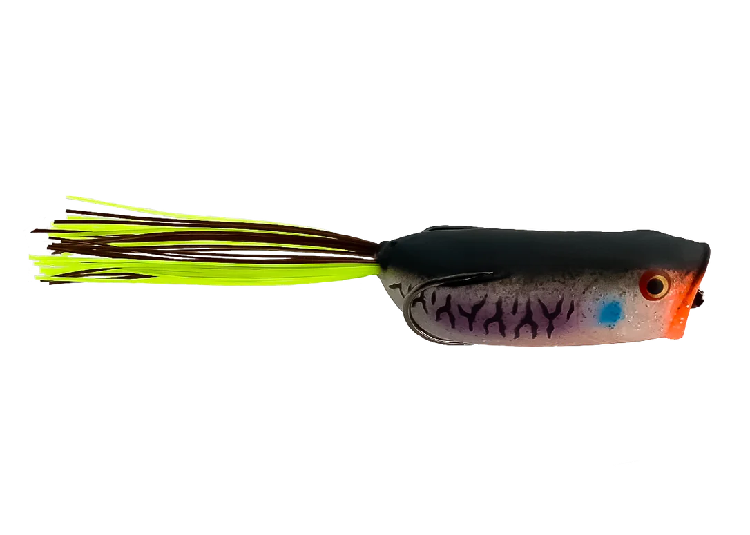 basscapitaltackle1125848