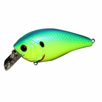 clearlakebaitandtackle1123351