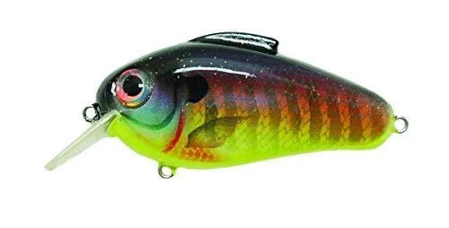clearlakebaitandtackle1123839