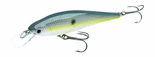clearlakebaitandtackle1130146