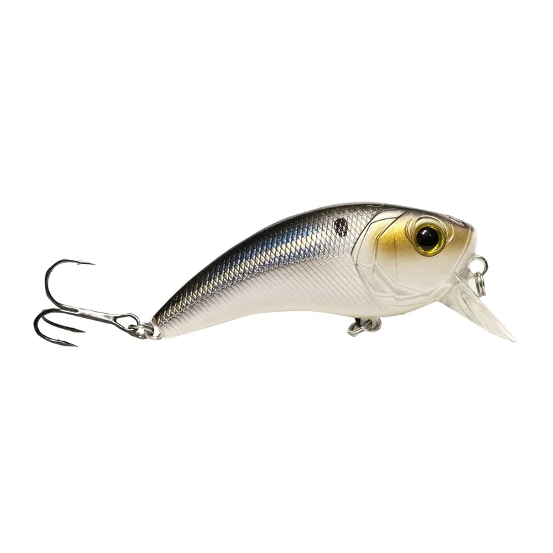 clearlakebaitandtackle1131517