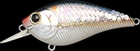 clearlakebaitandtackle1132074