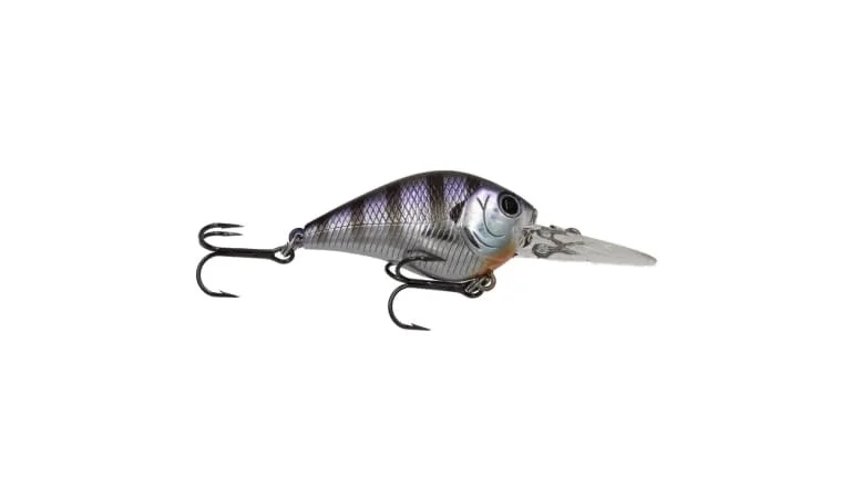 clearlakebaitandtackle1134871