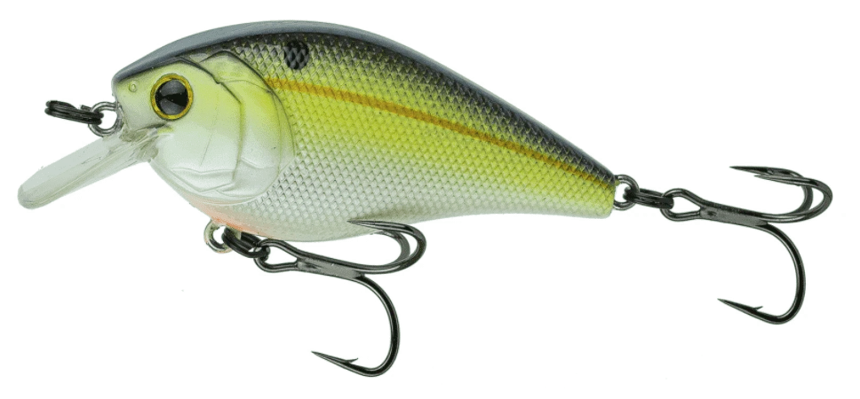dakotaangler1134110