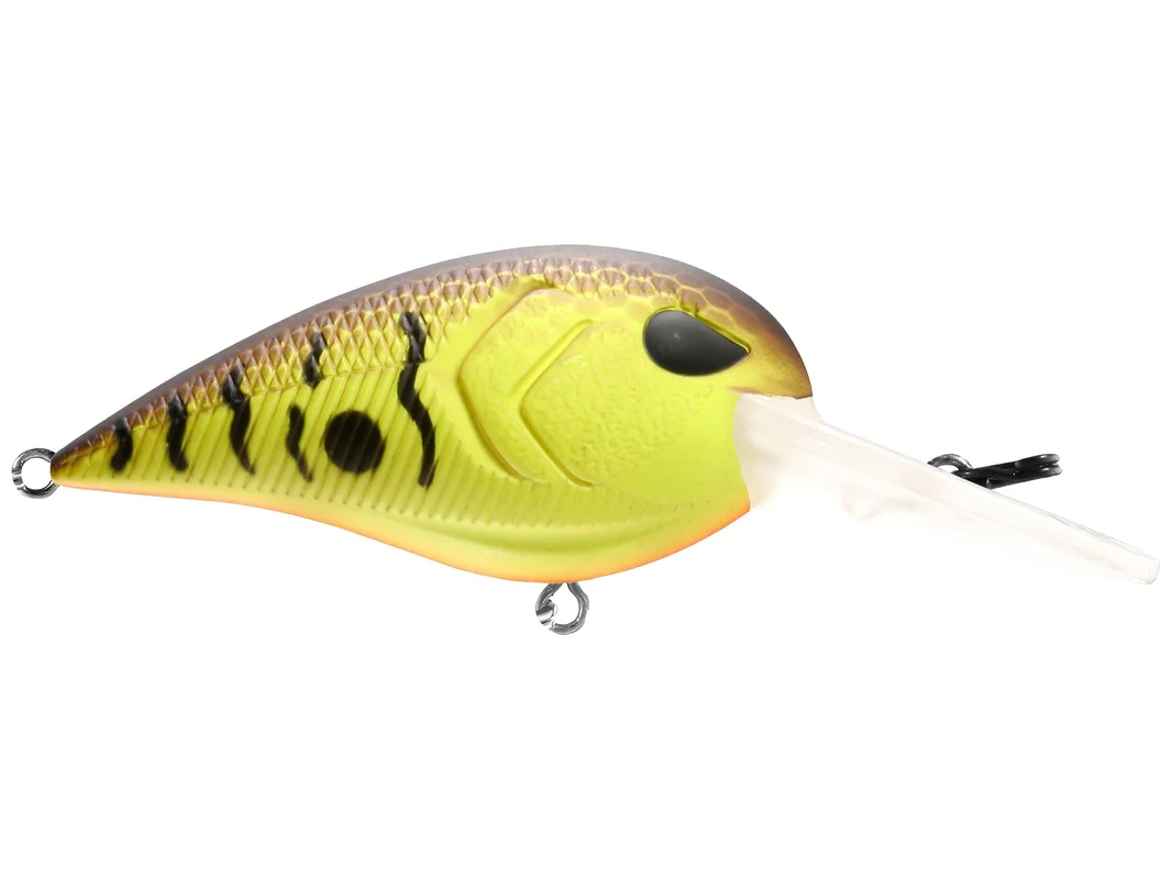 dakotaangler1135307