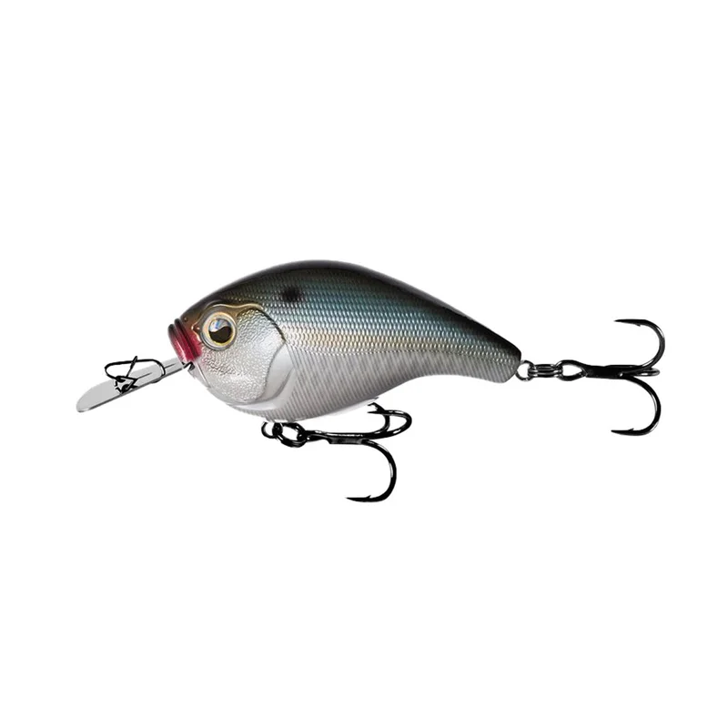 dakotaangler1135310