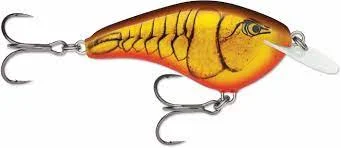 dakotaangler1136469