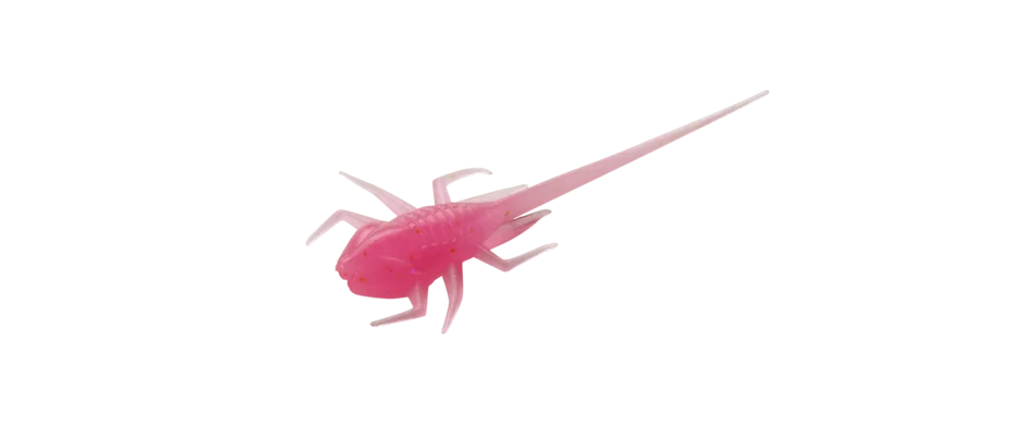 dakotaangler1140939