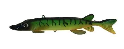 dakotaangler1141709