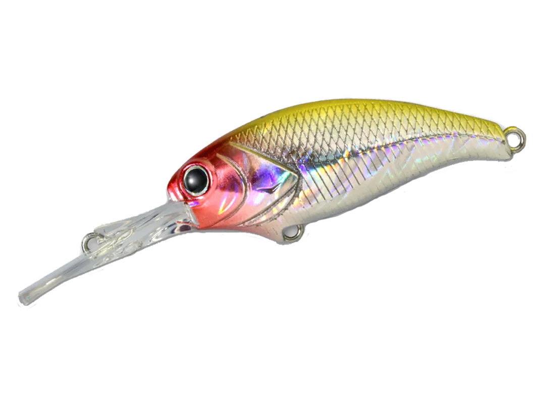 fishermanswarehouse-1091407