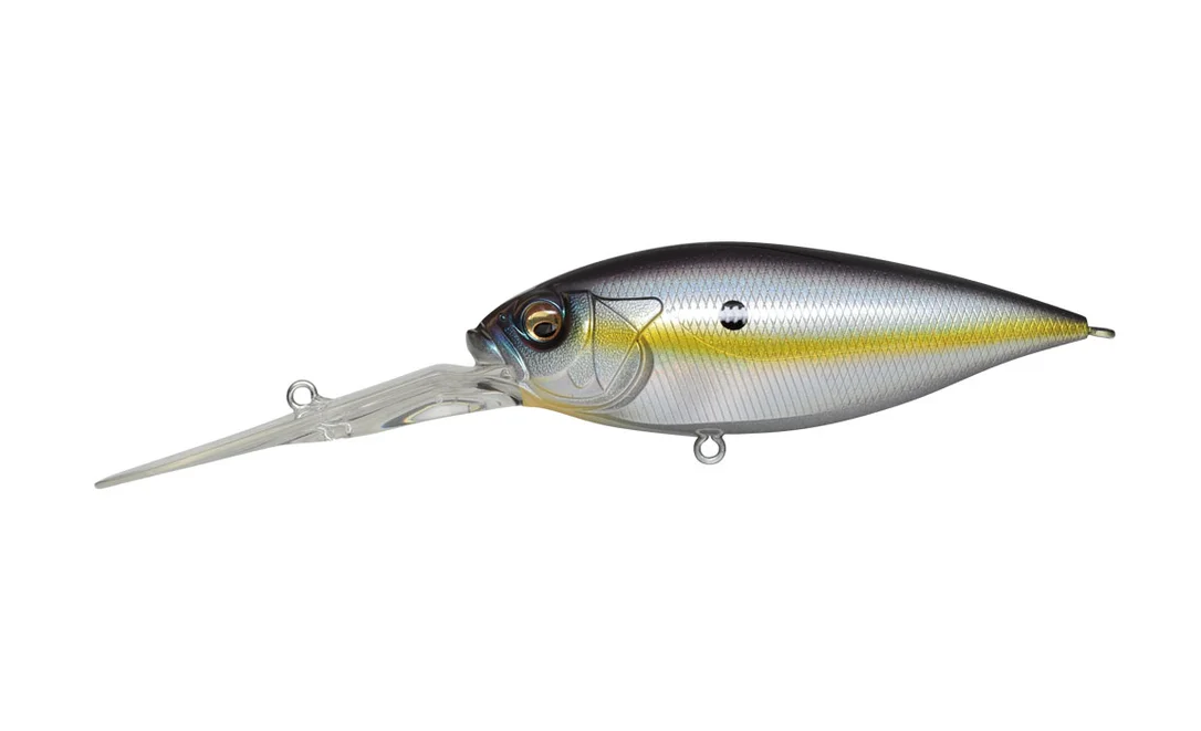 fishermanswarehouse-1091646