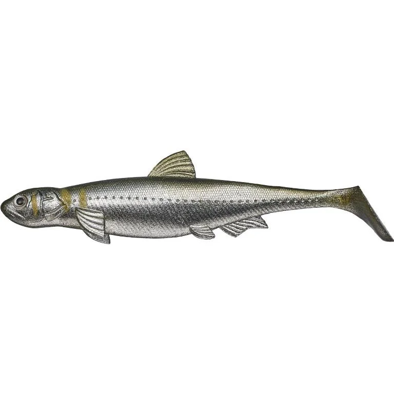 fishermanswarehouse-1093079