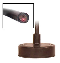 markemcatchem1156450