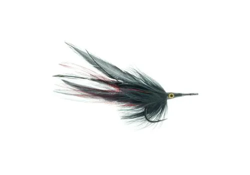 tailwatershop1144771