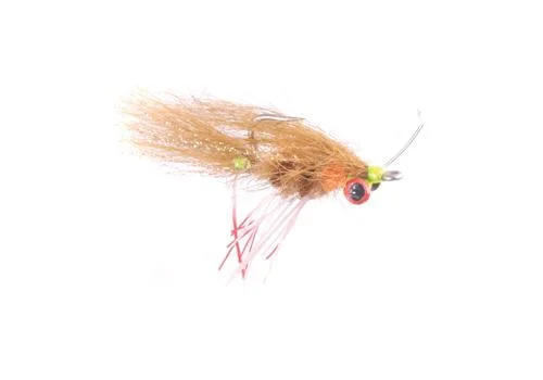 tailwatershop1144786