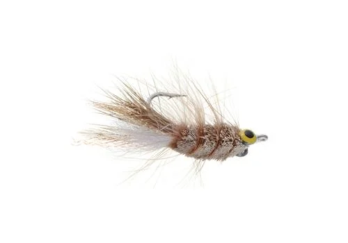 tailwatershop1144975
