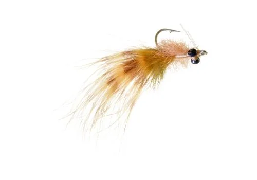 tailwatershop1144979