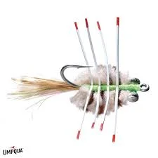 tailwatershop1146267