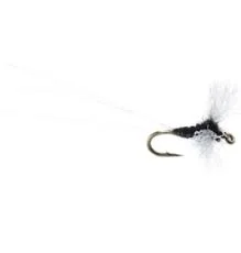 tailwatershop1146321