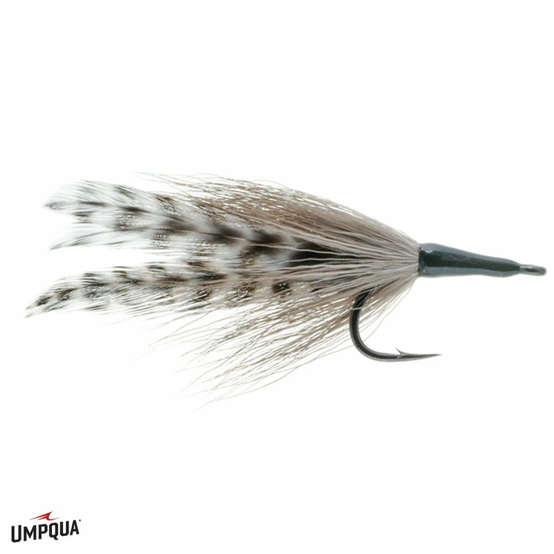 tailwatershop1146842