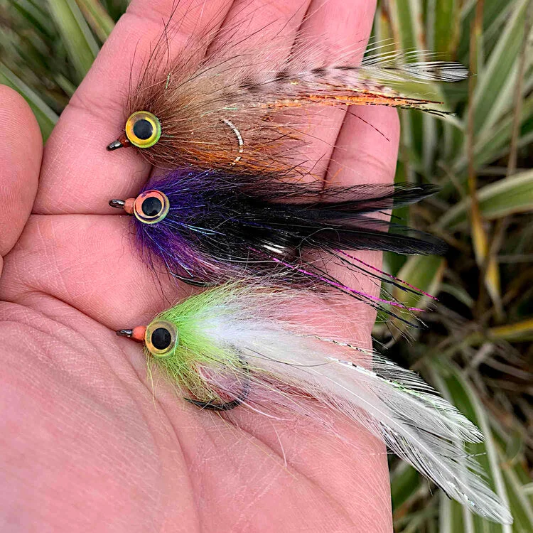 tailwatershop1148477