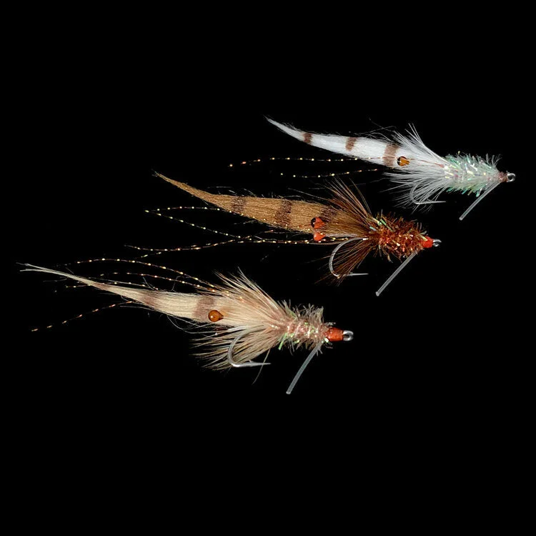 tailwatershop1148505