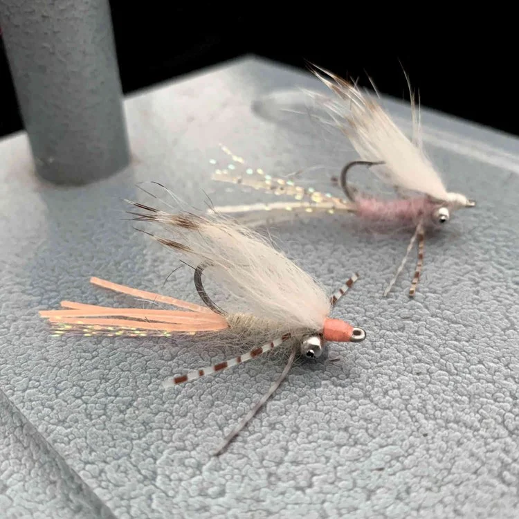 tailwatershop1148510