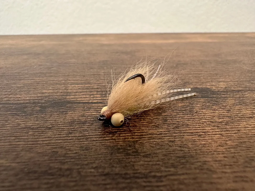 tailwatershop1149749