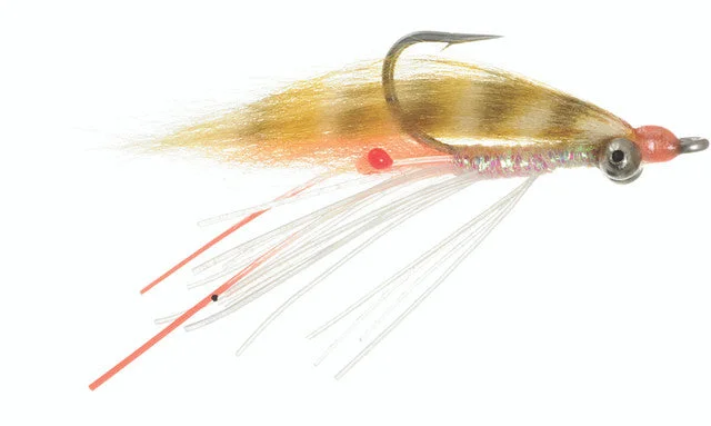 tailwatershop1150677