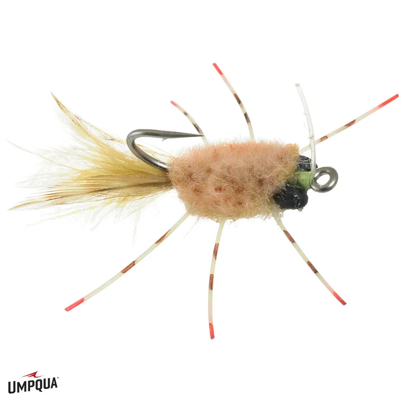 tailwatershop1153294