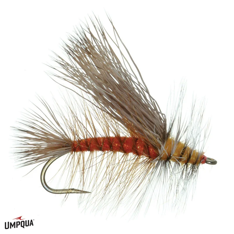 tailwatershop1153366