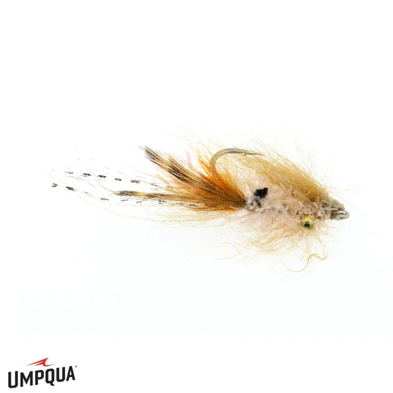 tailwatershop1154723