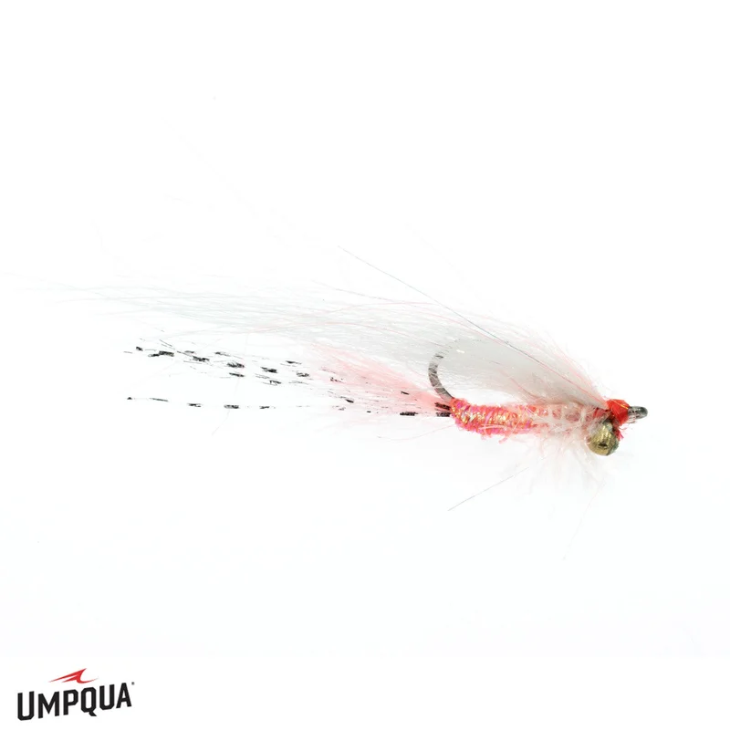 tailwatershop1154739