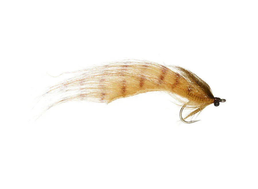 tailwatershop1154787