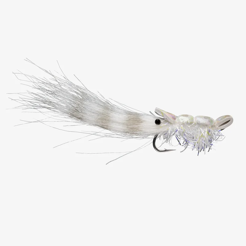 tailwatershop1155096