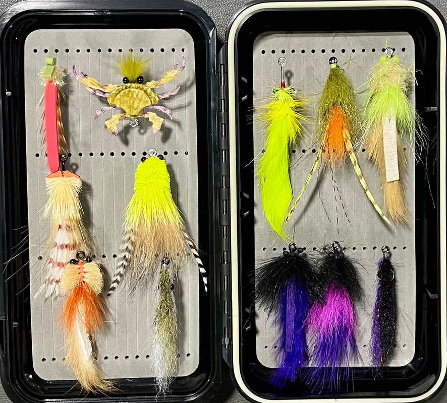 tailwatershop1156177