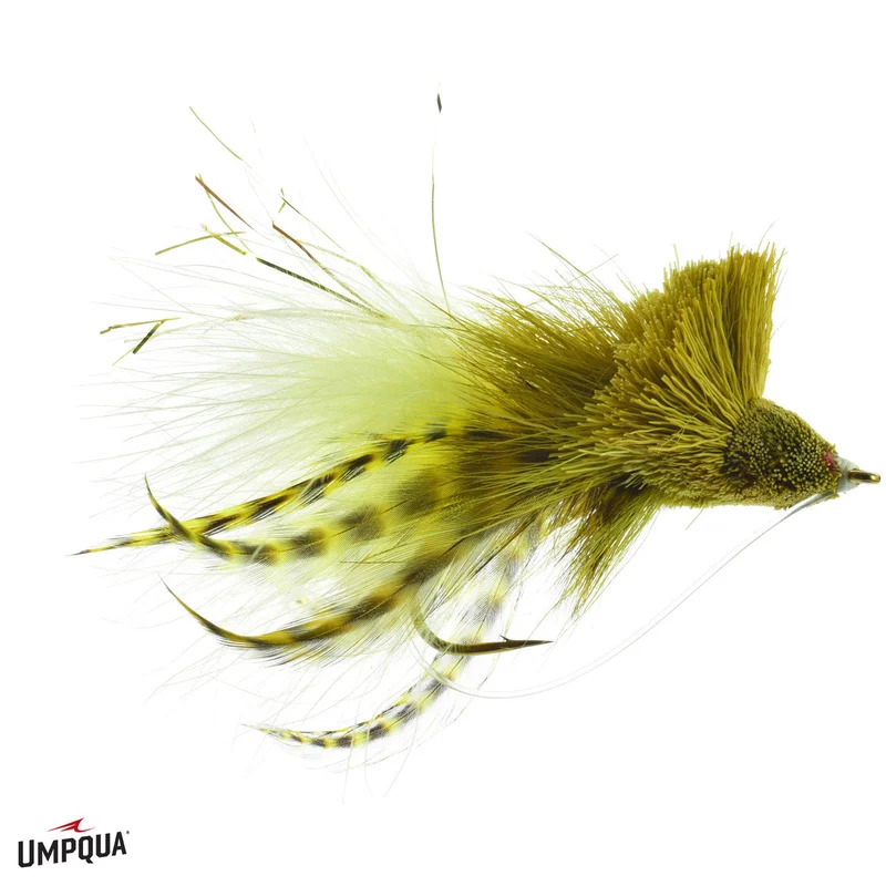 tailwatershop1156289