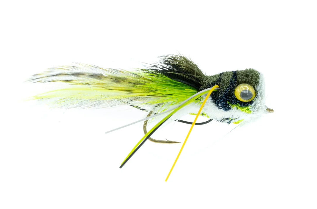 tailwatershop1156310