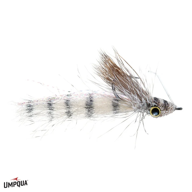 tailwatershop1156504