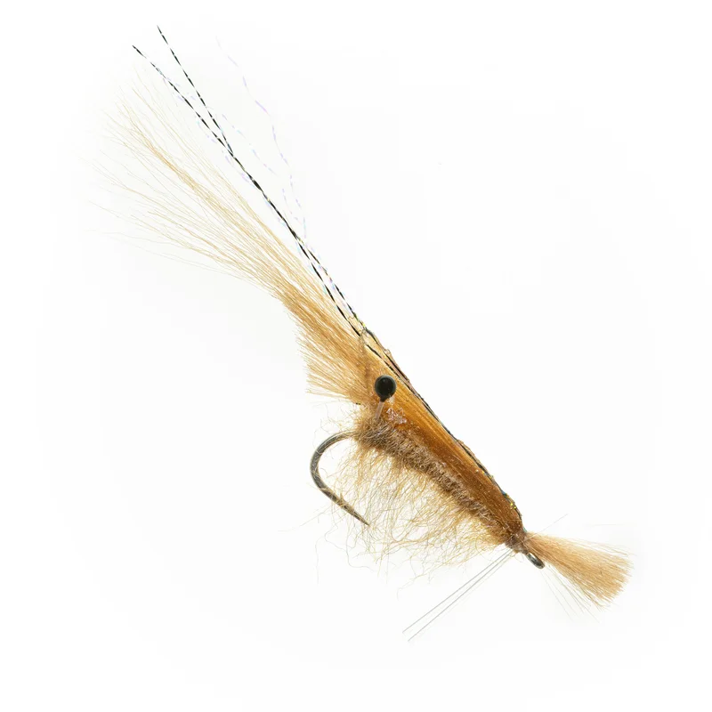 tailwatershop1157792