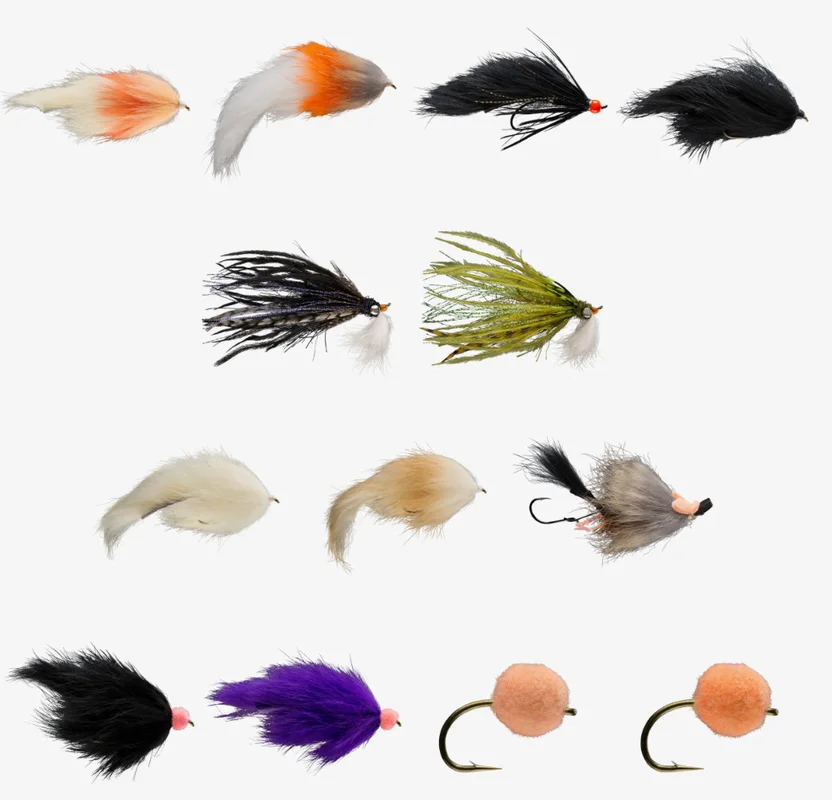 tailwatershop1158810
