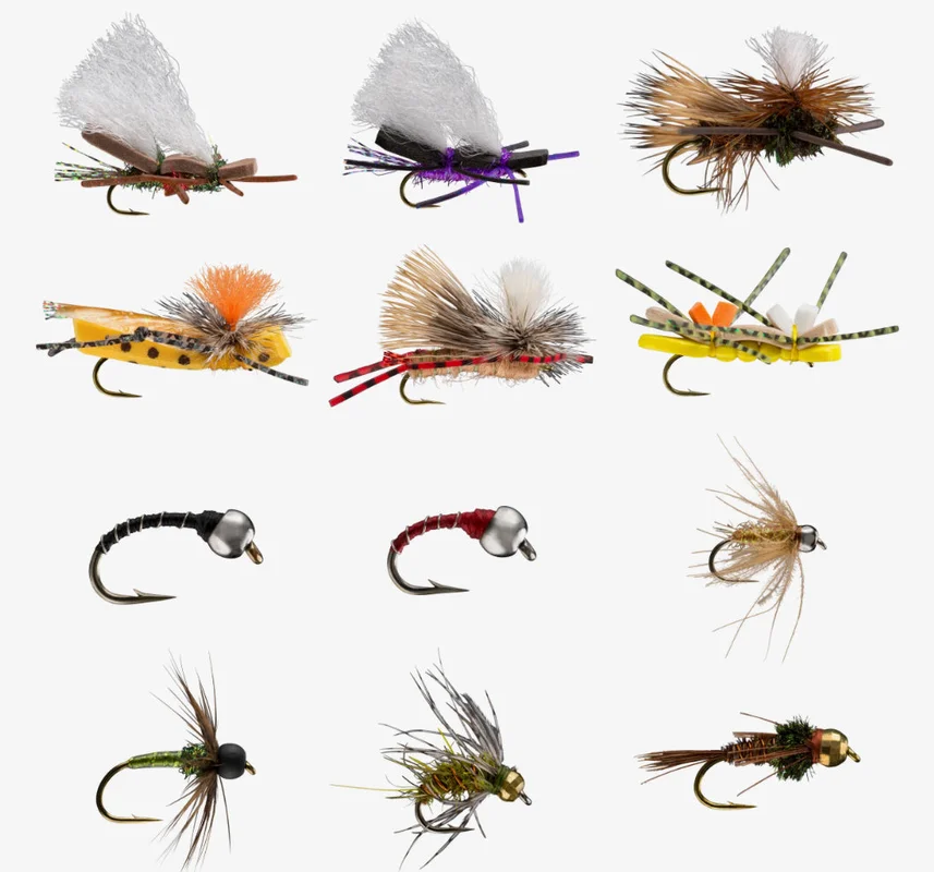 tailwatershop1158821