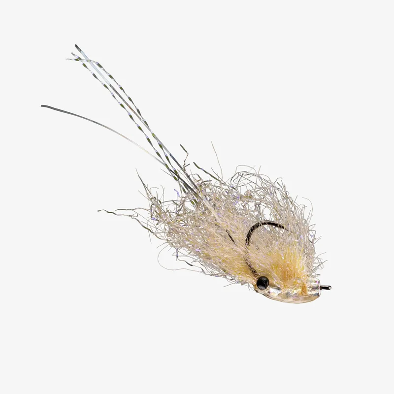tailwatershop1159145
