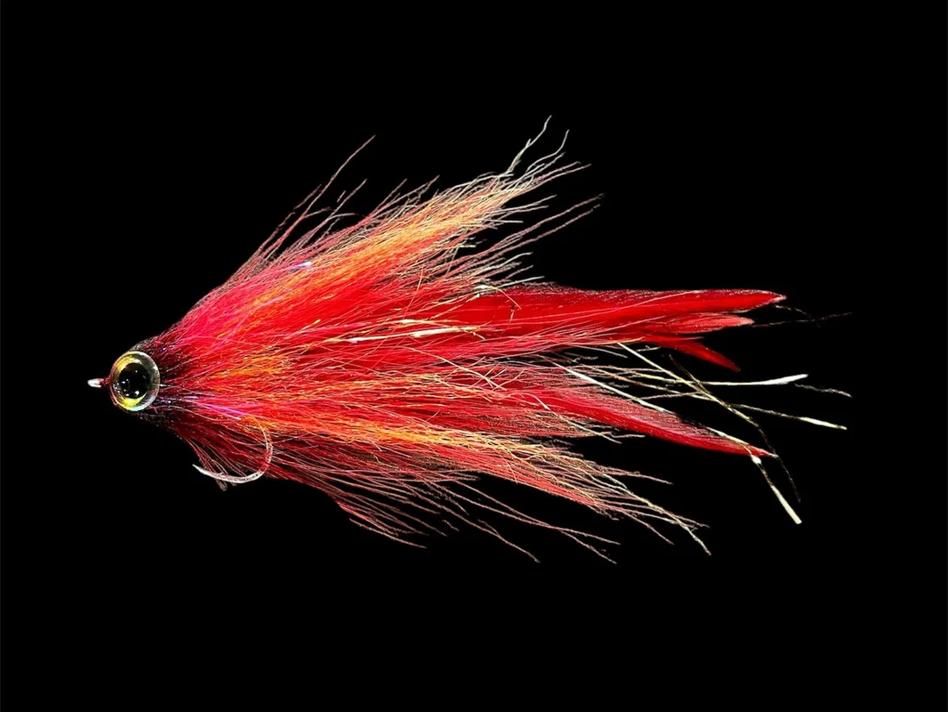 tailwatershop1159986