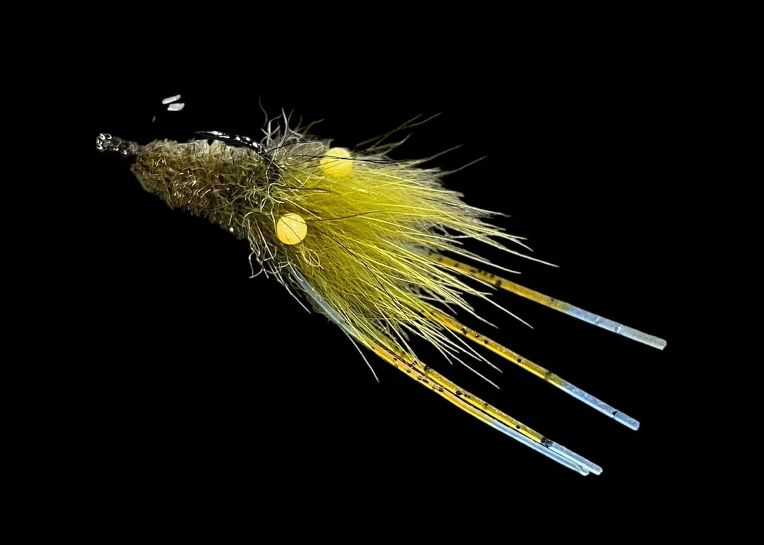tailwatershop1160216