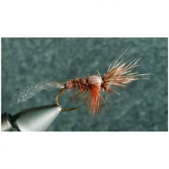 thefishinhole-1098114