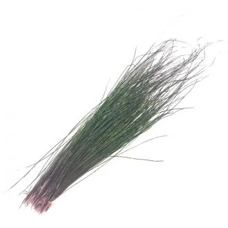 thefishinhole-1107737